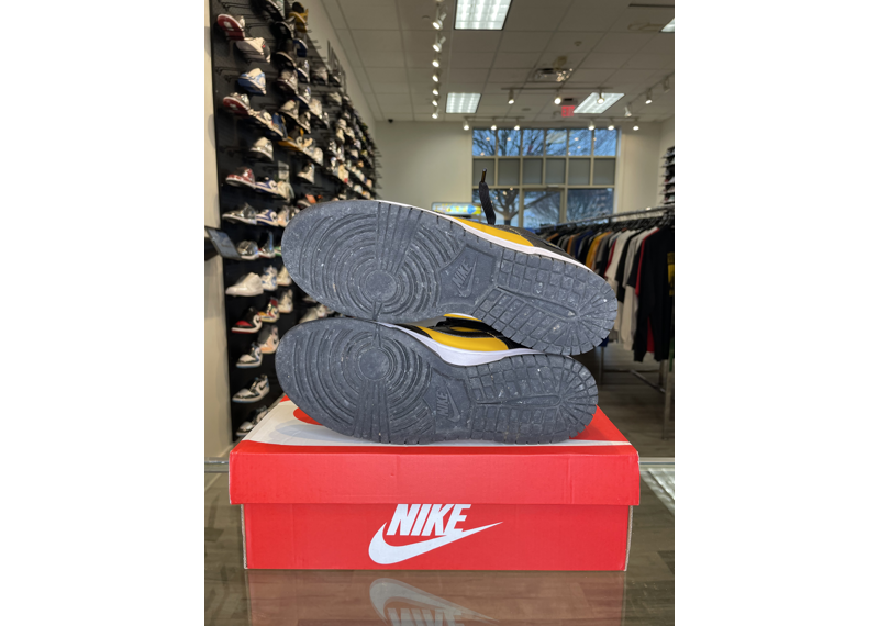Dunk Low Reverse Goldenrod 2024 - USED