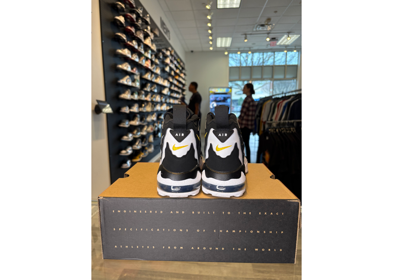 Nike Air DT Max 96 Colorado - USED