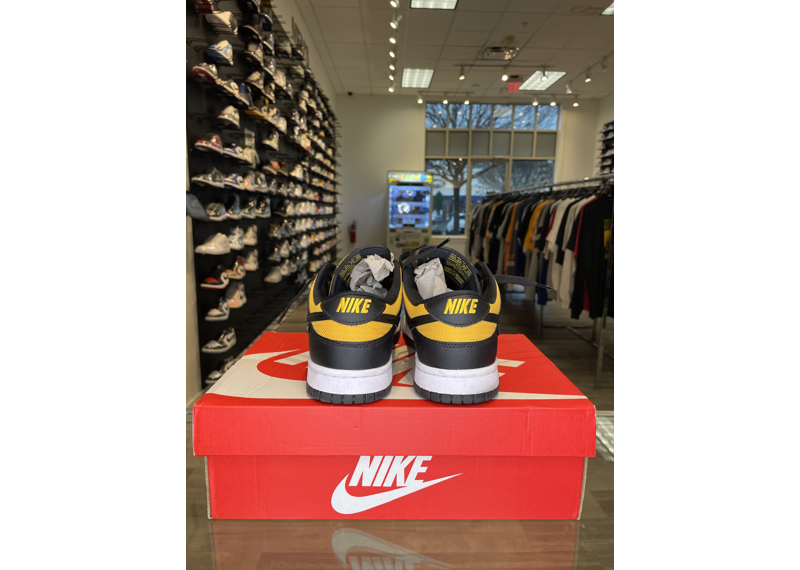 Dunk Low Reverse Goldenrod 2024 - USED