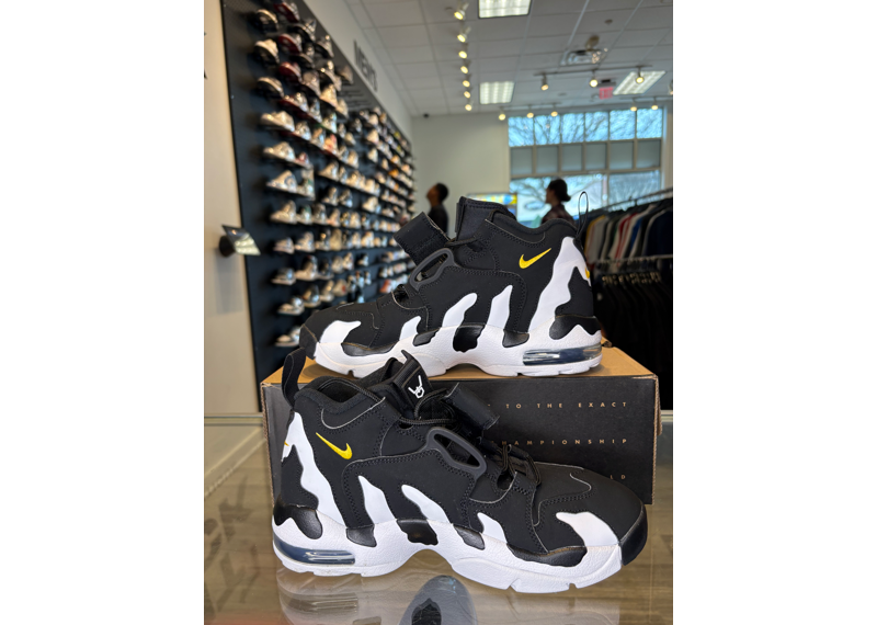 Nike Air DT Max 96 Colorado - USED