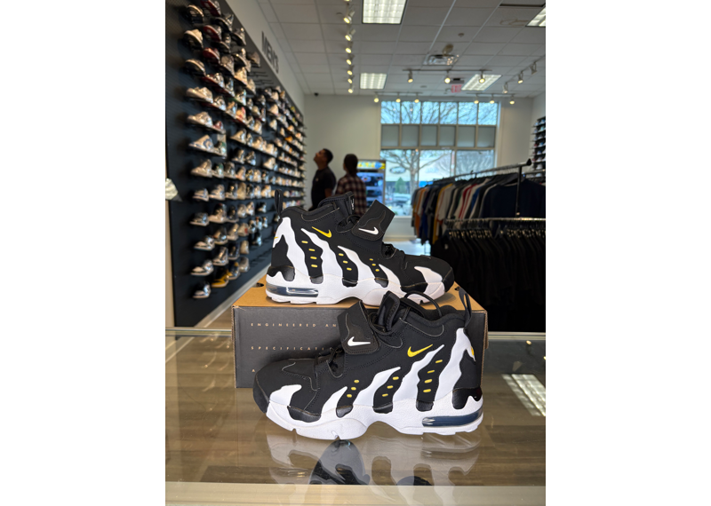 Nike Air DT Max 96 Colorado - USED