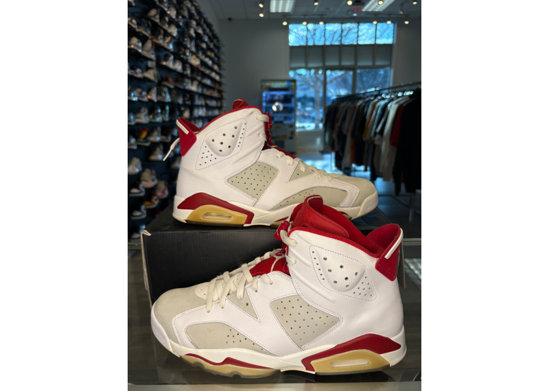 Air Jordan 6 Retro Alternate - USED