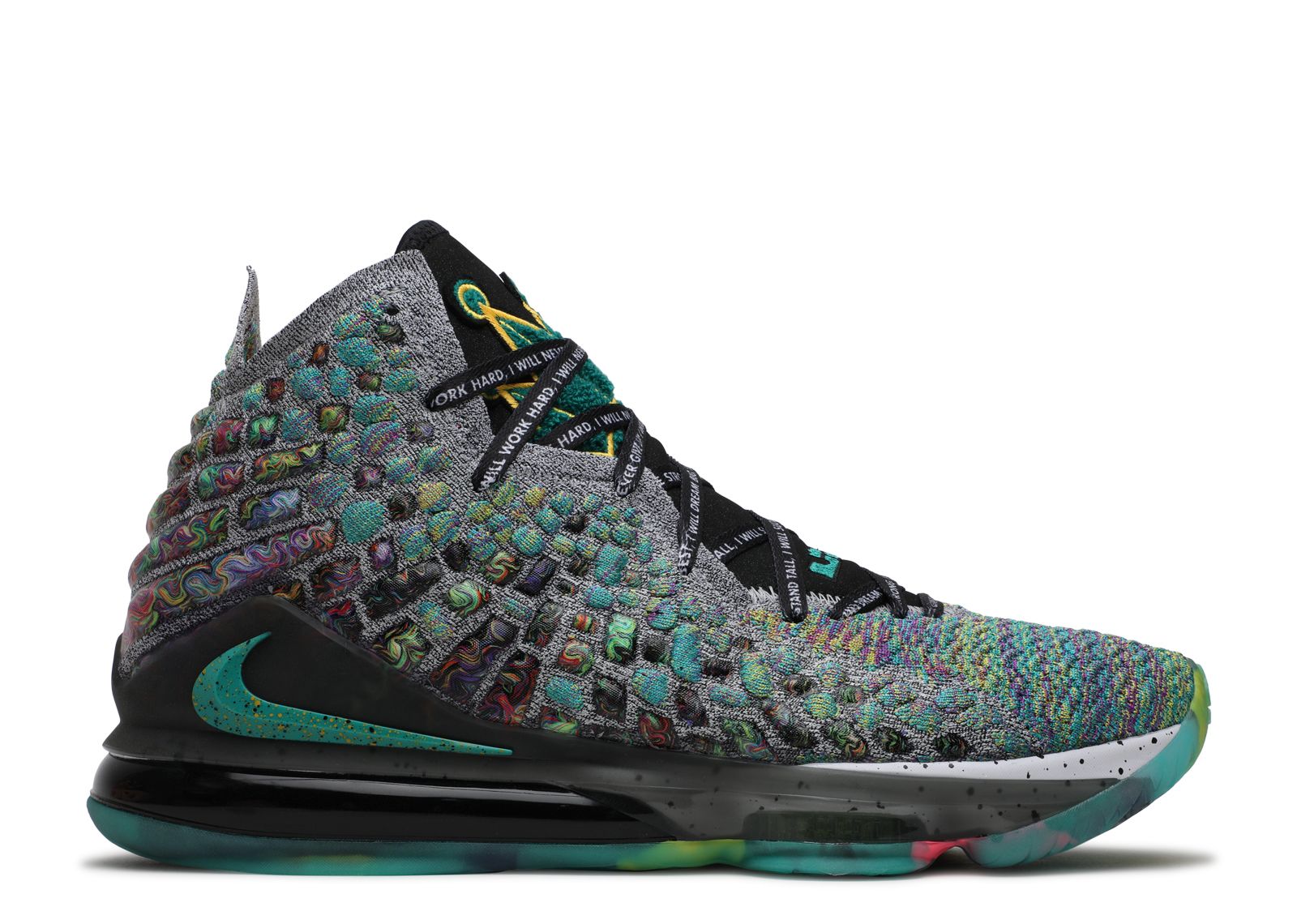 LeBron 17 'I Promise'